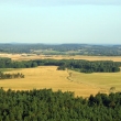 39. Elk